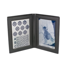 Bộ kiểm tra mắt LEA Symbols SL001